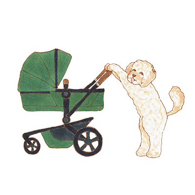 geboortekaartje_labradoodle